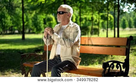 Blind Man Sitting On Bench, Listening For Sounds In Park, Heightened Senses