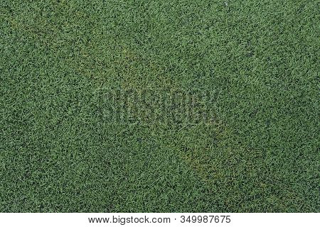 Artificial Grass Texture Patter Abstract Background From Top View.