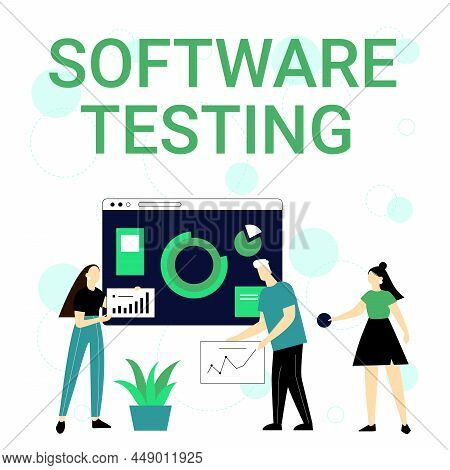 Text Sign Showing Software Testing. Internet Concept Investigation Provide Information About The Qua