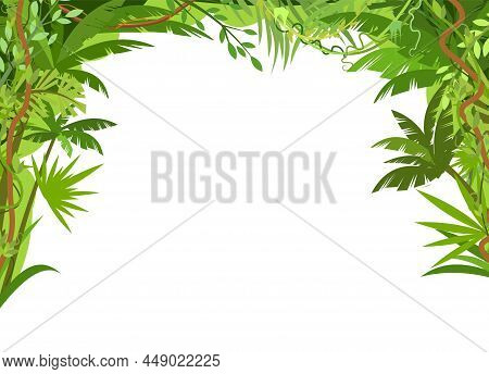Rainforest Canopy. Jungle Frame. Branches Of Tropical Trees, Grasses And Bushes. Curly Shoots And St