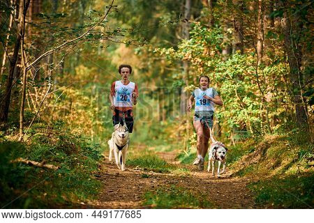 Svetly, Kaliningrad Oblast, Russia - October 2, 2021 - Canicross Exercises, Young Man And Adult Woma