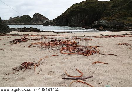 View Of The Characteristic Landscape Of Duhatao Bay, Chile. High Quality Photo