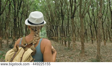 The Traveler Walks Between Trees Plantation Agriculture Of Asia