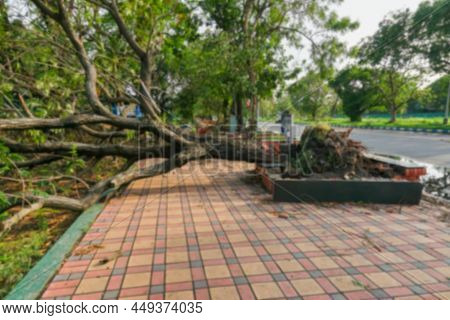 Blurred Image Of Kolkata, West Bengal, India. Super Cyclone Amphan Uprooted Tree Which Fell And Bloc