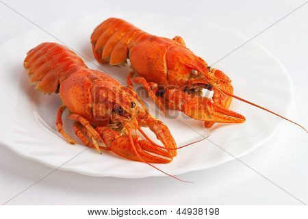 Langusta vařená