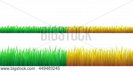 Grass Background Green And Orange Set. Different Periods Of Growth. Spring And Fall Grassland Field 