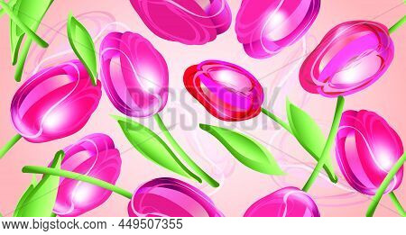 Background, Beautiful, Beauty, Blossom, Bouquet, Bright, Bunch, Color, Colorful, Day, Decoration, De