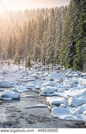 Sunny Winter Afternoon At Jizera River Full Of Boulders Covered By Snow. Jizera Mountains, Czech Rep