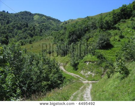 Lalpine Prado
