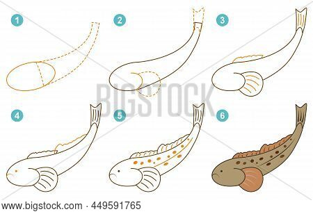 Instructions For Drawing Scorpionfish. Step By Step.