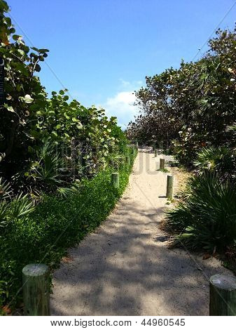 The Path To The Beach