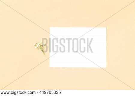 Wedding Invitation Or Greeting Card Mockup. Stylized Image. Blank White Card 5x7 With A Flower.