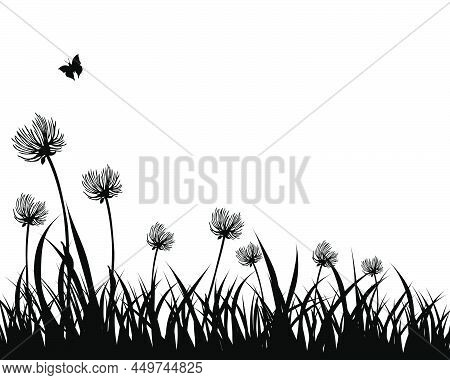 Spring Meadow Grass. Fresh Plants, Seasonal Growth Grass, Separated Botanical Elements, Herbs. Natur