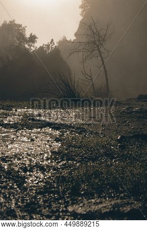 Dark Foggy Ladnscape Showing Mud And A Lone Tree In Tavertet Town In Catalonia