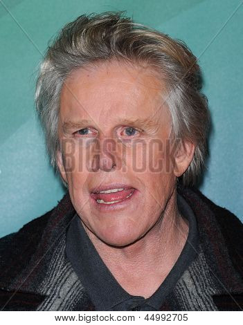 LOS ANGELES - Ocak 06: Gary Busey geldiğinde NBC tüm Star kış TCA 2013 için 06 Ocak 2013 ben
