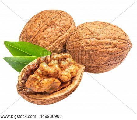 Walnuts Isolated. Fresh Walnut  With Green Leaves On White Background.