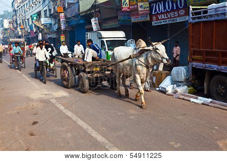 Ox Chart In The Narrow Streets Of Old Delhi