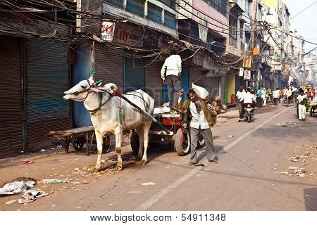 Ox Chart In The Narrow Streets Of Old Delhi
