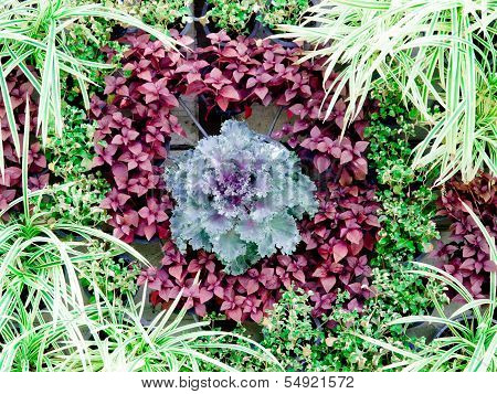 Vertical Garden