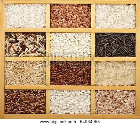 variety of rice grains (white, brown, black, wild, basmati, arborio, short, long grain) in vintage wooden case box