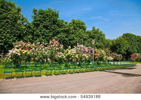 Chairs In Volksgarten