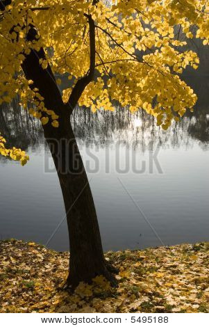 ruhige Herbst