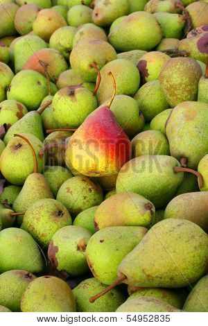 pears
