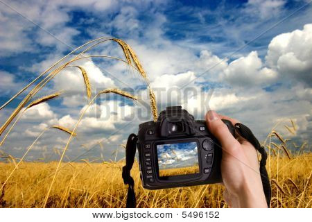 Fotografie přírody