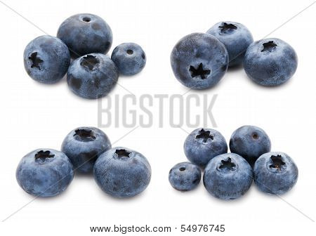 Blueberry set