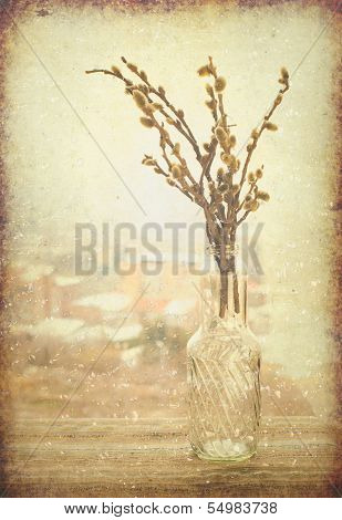 Old postcard with willow branch in vase of glass