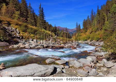 Pastoral in the Alpine mountain valley in Austria. Rapid mountain stream of coniferous forests. Cascades of cold water at the source of the famous Krimml waterfalls.