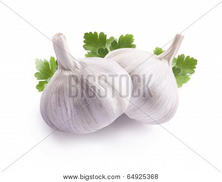 Two Garlic Bulbs And Parsley Leaves Isolated On White Background