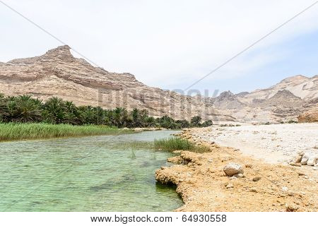 Oasis Near Route 49, Dhofar (oman)