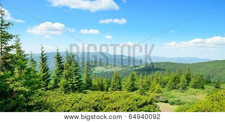mountains covered trees and blue sky                                    