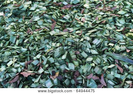 Green Wood Chips