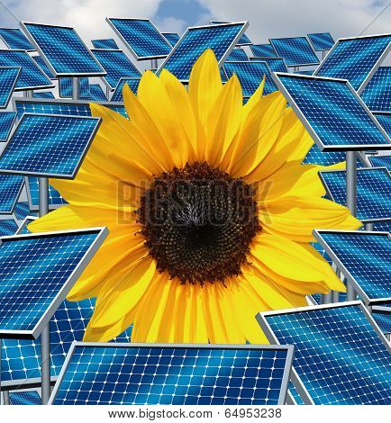 Solar Energy