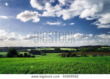 Calm Rural Landscape
