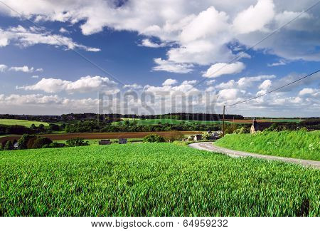 Calm Rural Landscape