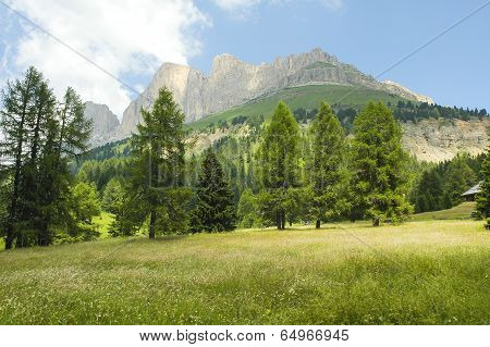 Passo Di Costalunga, Dolomites