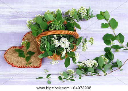 Beautiful spirea flowers on wooden table, close up