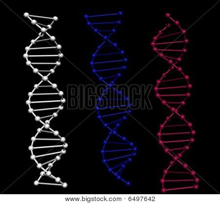 Dna