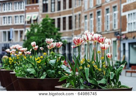 Traditional Street View Of Belgium Village