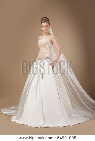 Sophisticated Slender Woman In Long Elegant Dress Posing