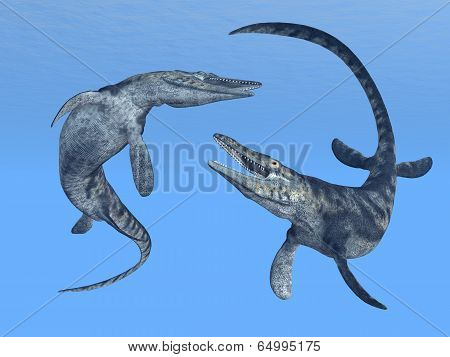 Mosasaur Tylosaurus