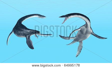 Plesiosaurus
