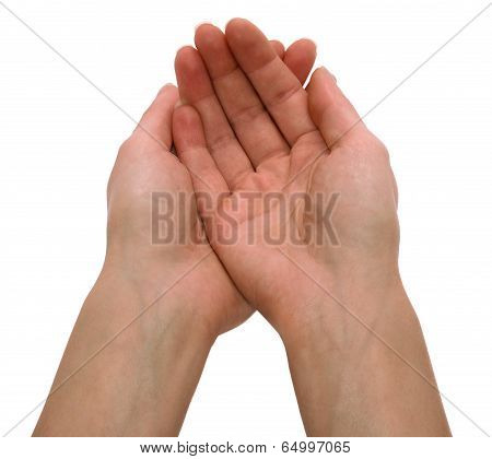 Hands