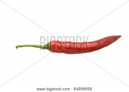 Red Chilli Pepper