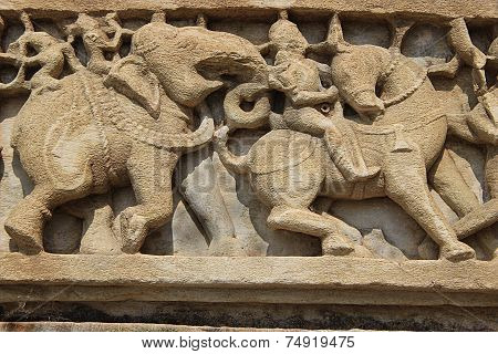 Elephant And Horse In War