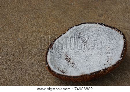 half of coconut shell 5