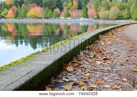 Seawall in the fall